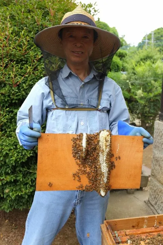 ミツバチの検査の写真 2