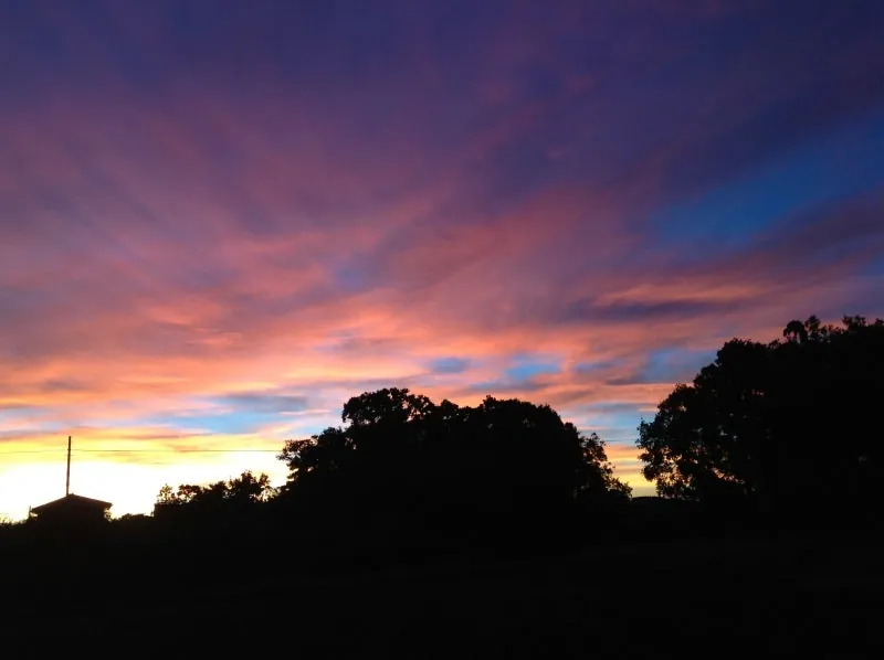 夕日に釘づけでしたの写真 5