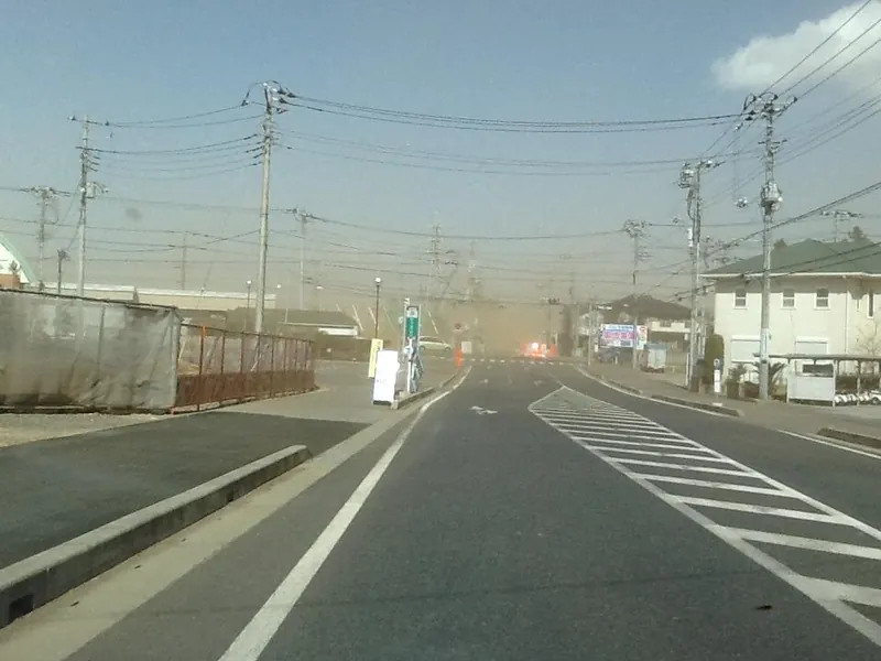 守谷が黄色に染まったの写真 1