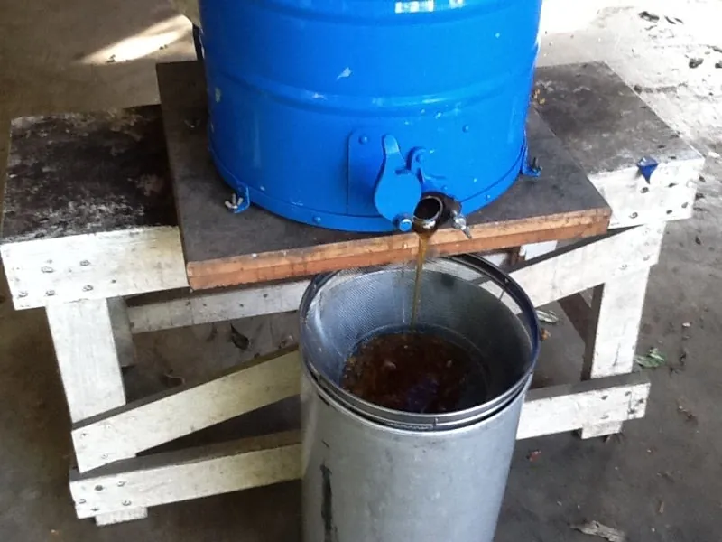 ミツは極上でした