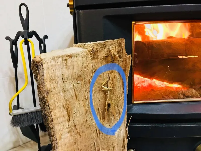 薪ストーブが大活躍の写真 2
