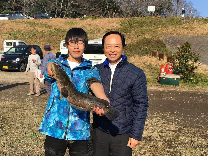 雷魚をさばくの写真 6
