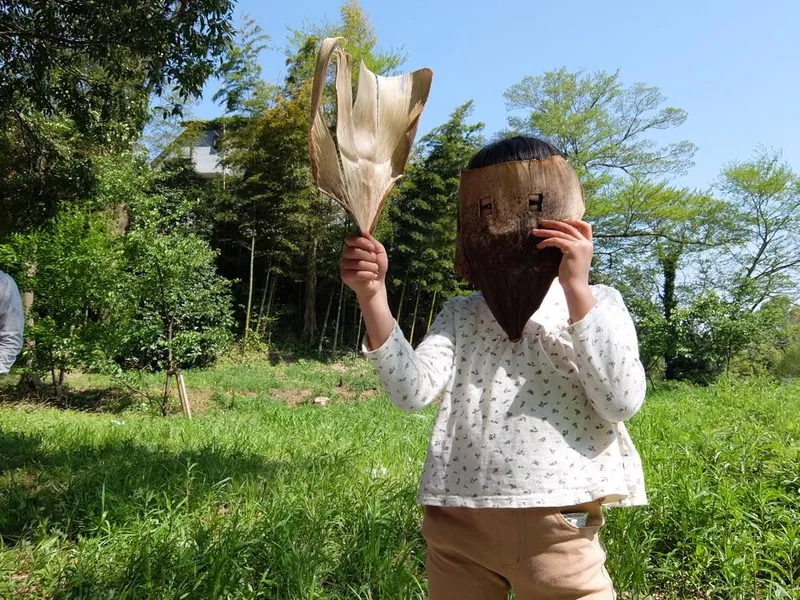 タケノコの皮ですの写真 2