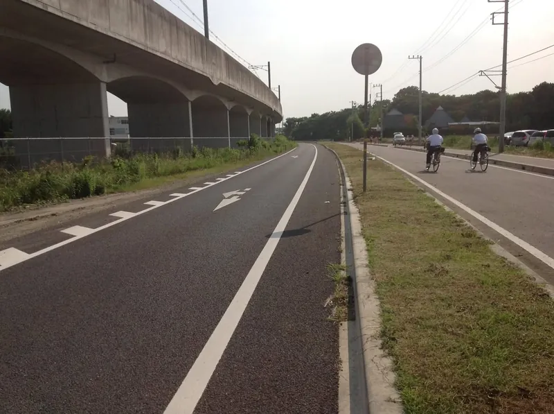 通学路の除草 ― ご近所の底力 ―の写真 4