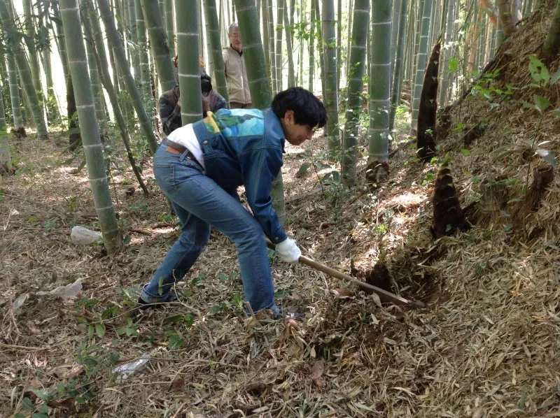 大使は初めての体験です
