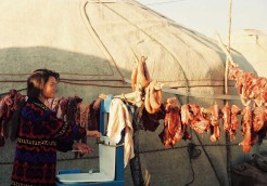 キルギス共和国 ついさっきまで草を食んでいた羊肉