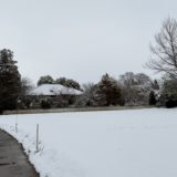 カルテェラタウンの雪